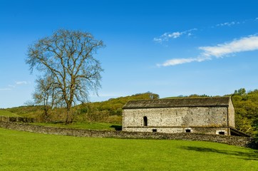 A barn and tree set in English countryside with a green field in the foreground and a wood beyond.