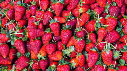 red strawberry. background