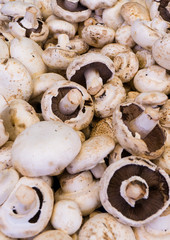 mushroom champignon. food background