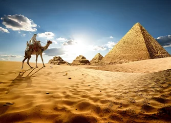 Foto op Aluminium In het zand van Egypte © Givaga