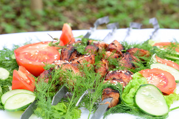 Meat dish cooked on a picnic