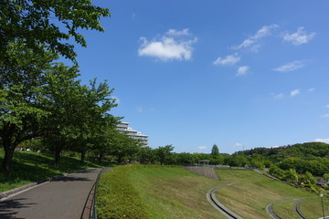 初夏の多摩