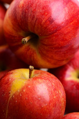 dieting and healthy food, natural and organic food, vegetarian, vitamin