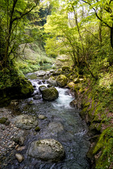 Obraz premium 天岩戸神社 五ヶ瀬川