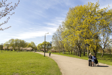 Obraz premium Spring mood. In the first warm days of spring, they go to the Park to relax and feel the breath of spring.