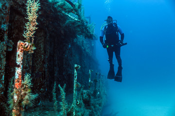 Scuba Diver and Shipwreck - obrazy, fototapety, plakaty