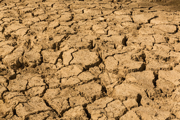 Tierra seca y resquebrajada.