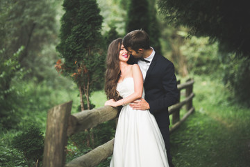 Fototapeta premium Stylish couple of happy newlyweds posing in the park on their wedding day