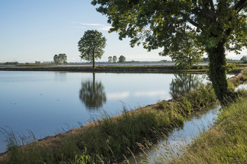 Piedmont, Italy: panorama of the Padana plain in spring with flooded fields for rice cultivation