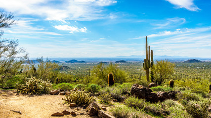 View of the Valley of the Sun with the city of Phoenix in the distant seen from the semi desert landscape of Usery Mountain in Arizona, USA