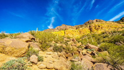 Colorful Yellow and Orange Geological Layers of Usery Mountain surrounded by Large Boulders,...