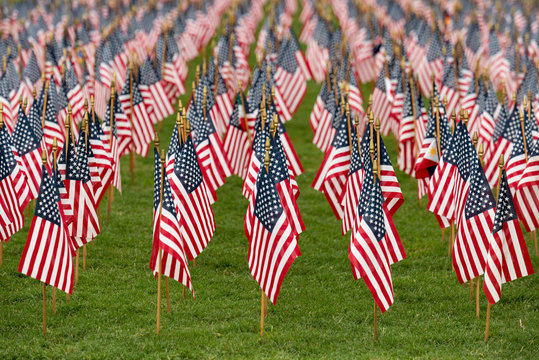 Rows of American flags on a green grass background with a shallow depth of field