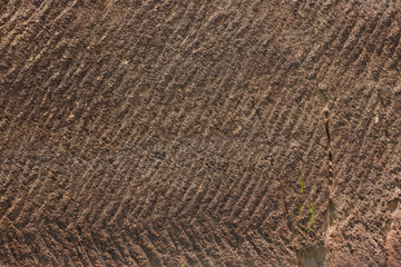 earth soil texture background