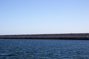 Concrete pier with many seagulls