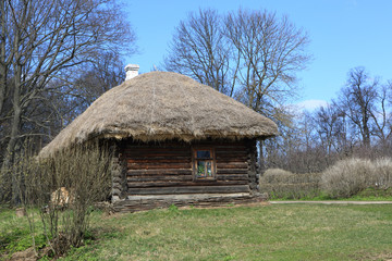 Fototapeta na wymiar Hut with thatched roof