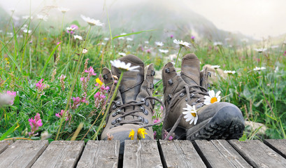 hiking shoes on a plank in  flowers