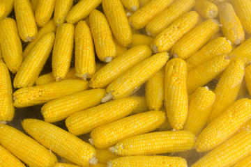corn boil vegetarian food