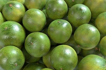 realistic 3d render of limes