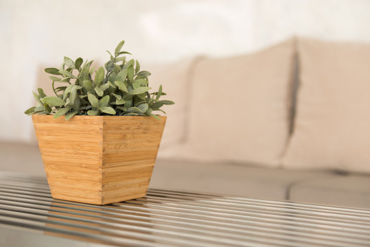 Small tree on the steel table