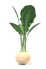 realistic 3d render of white radish