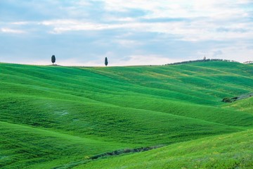 Landscape of tuscan countryside in spring