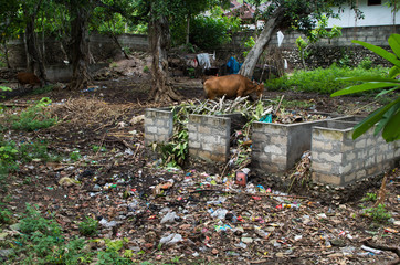 Trash on Nusa Penida island, Bali, Indonesia