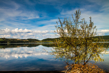 Reflections over Martignano lake