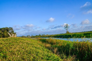 Fototapeta premium chairs facing the swamp on a summer day