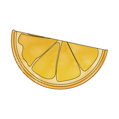 drawing slice orange citrus fruit harvest vector illustration