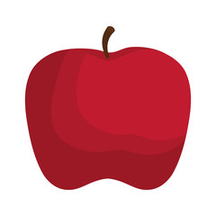 apple fruit icon over white background. vector illustration