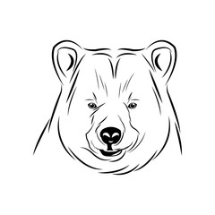 head bear animal free spirit symbol vector illustration