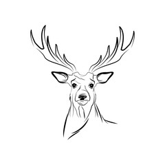free spirit deer animal bohemic design vector illustration