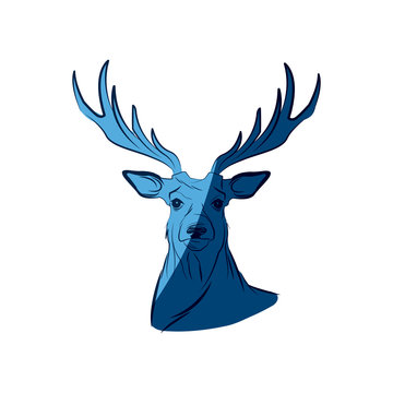 blue free spirit deer animal bohemic design vector illustration