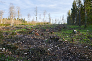 Deforested Lithuania