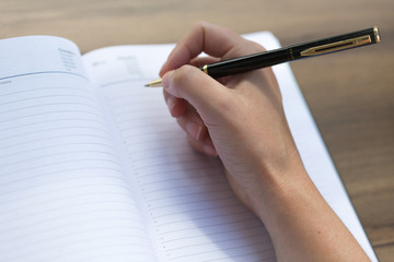 hand writing in an agenda 