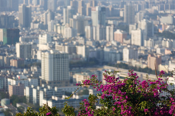View of Sanya City in China - 150567295