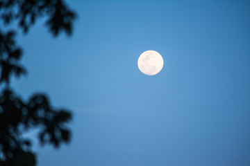 The Moon is an astronomical body that being Earth's only permanent natural satellite. 