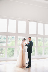 .Beautiful bride and groom portrait with veil over face. Stylish Loving wedding couple kissing and hugging