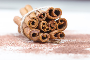 Obraz na płótnie Canvas Cinnamon sticks and cocoa powder