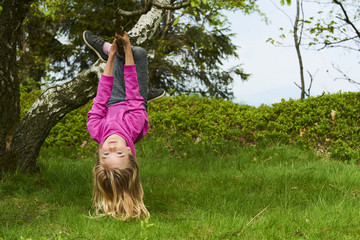 Obraz premium Child blond girl climbing a tree in a park outdoor. Upside down