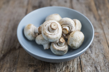 Fresh champignon mushrooms