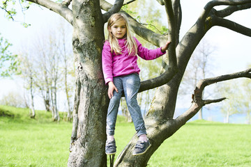 Child blond girl climbing a tree in a park outdoor