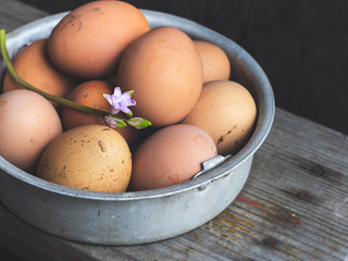 Fresh chicken country eggs