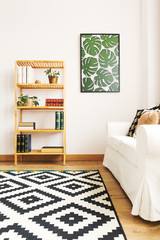 White living room with bookcase