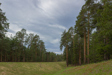 Obraz premium Walk along the railway