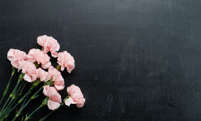 Naklejka na ściany i meble Fresh pink carnations on a dark background with copy space
