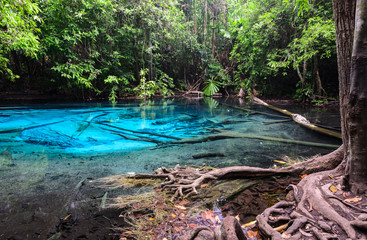 Emerald blue pool (Sra Morakot) in Krabi province, Thailand