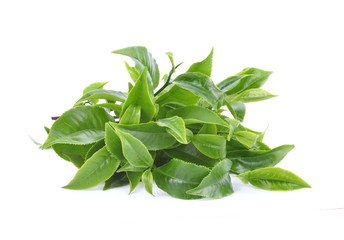 green tea on white background