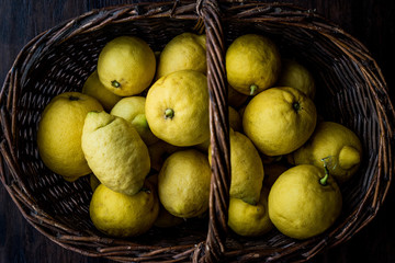 Organic Lemons in basket from garden.