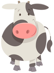 cute spotted cow or calf